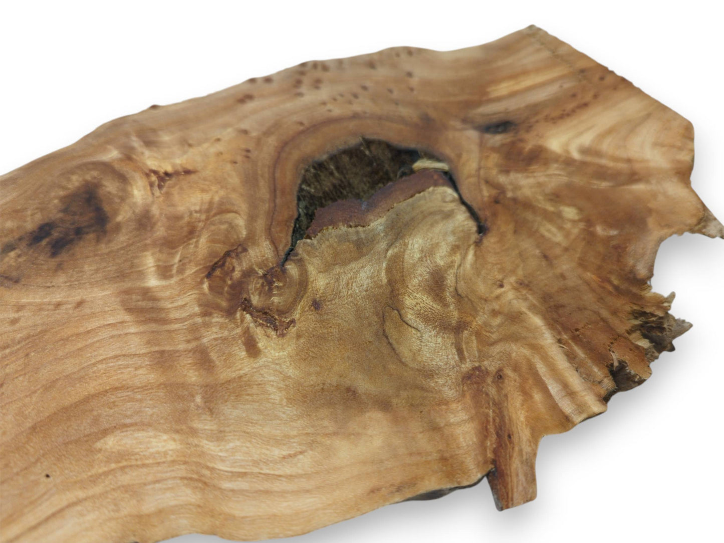 A golden wood section shows grain radiating from a large, dark, textured central cavity.