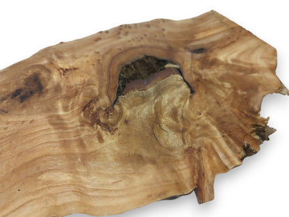 A golden wood section shows grain radiating from a large, dark, textured central cavity.