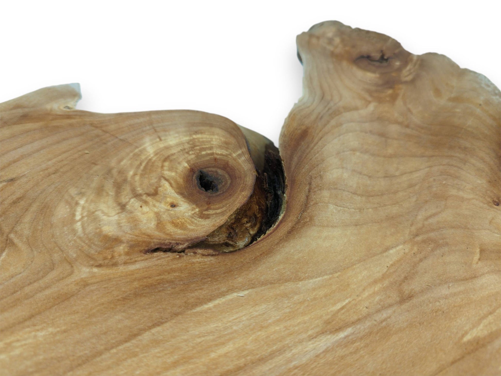 An angled view captures a hollow knot with concentric grain beside a deep, shadowy wood chasm.
