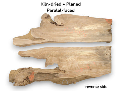 Two smooth, planed lumber sections with irregular, knotty perimeters reveal their gently rippling grain.