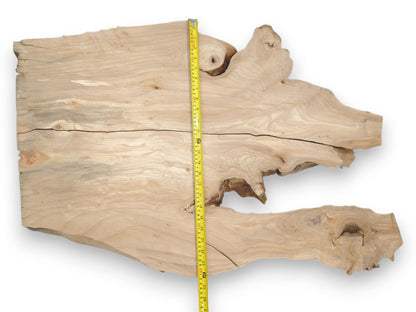 A yellow tape measure is laid across a pale, fissured wood slab with gnarled, organic edges.