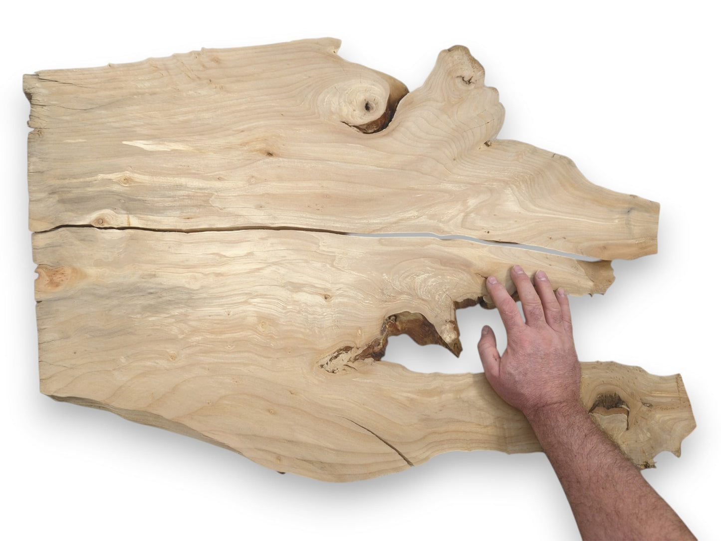 A hand touches the jagged edge of a split, pale timber slab with wavy figuring.