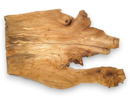 A single timber slab with a long central fissure features a gnarled edge and swirling grain.
