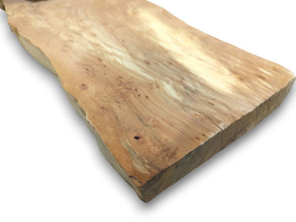 A thick, rectangular timber piece displays a lustrous surface with bird's-eye figuring and pale streaks.