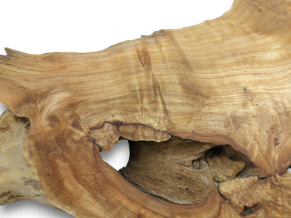 A close-up on a smooth wood slab with a large, dark-edged hole and wavy grain.