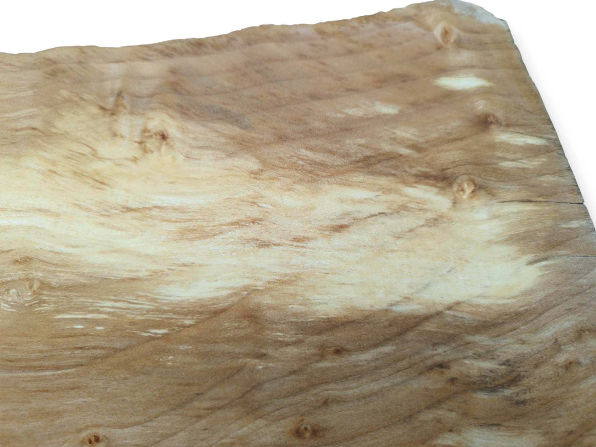 A smooth alder root section displays creamy, flowing patterns interspersed with numerous small burl eyes.