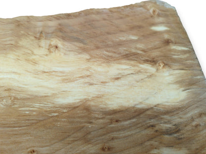 A smooth alder root section displays creamy, flowing patterns interspersed with numerous small burl eyes.