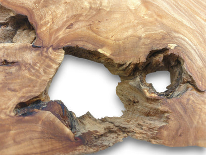 A gnarled timber section reveals smooth, undulating grain around two large, rough-edged apertures.