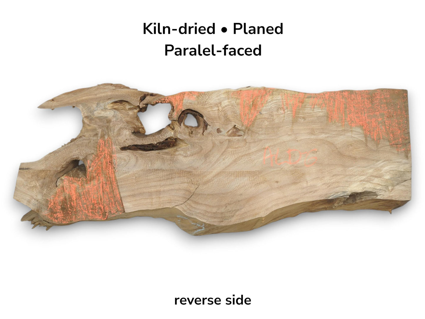 A planed root section with open voids along its top edge and coral-colored filler.