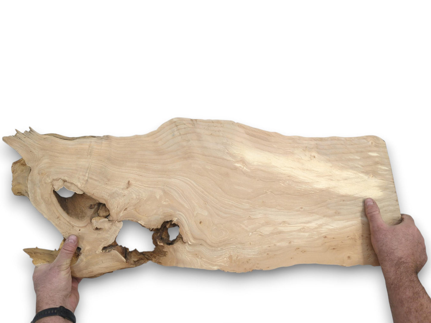 Hands hold a pale, elongated timber slab with flowing, contoured grain and large, irregular voids.