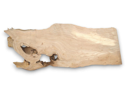 A pale, raw-edged lumber piece displays contoured grain lines flowing around large, open knots.