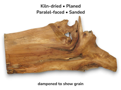 A smoothed alder root plank with a gnarled live edge, a prominent void, and flowing grain.