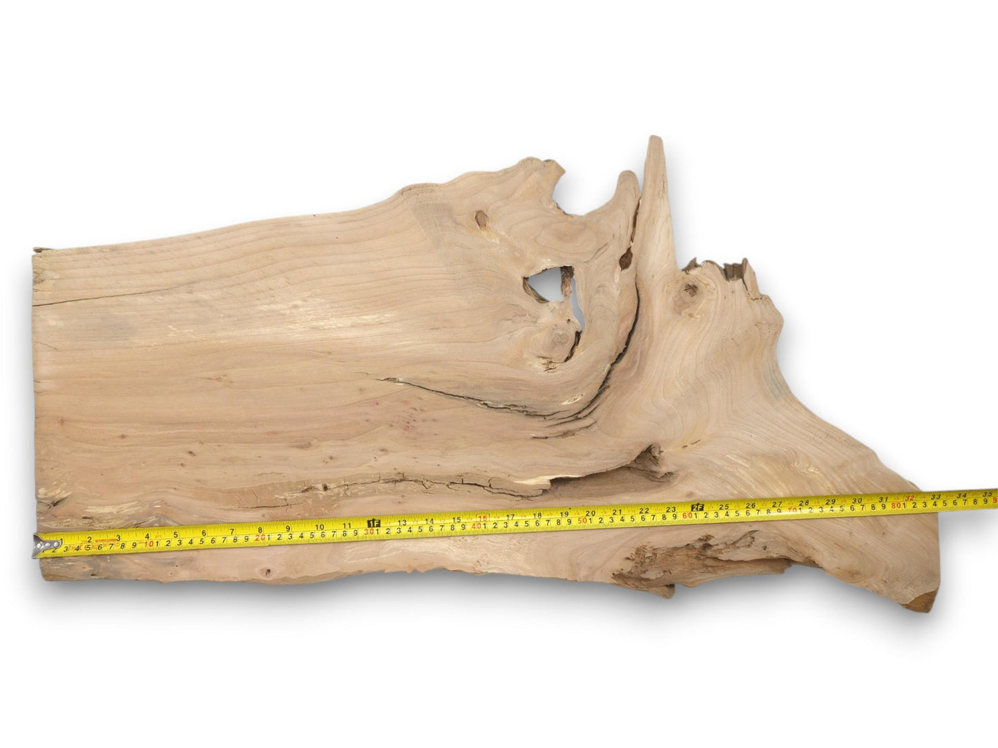 A light-toned timber section features a jagged live edge, a central void, and swirling grain.