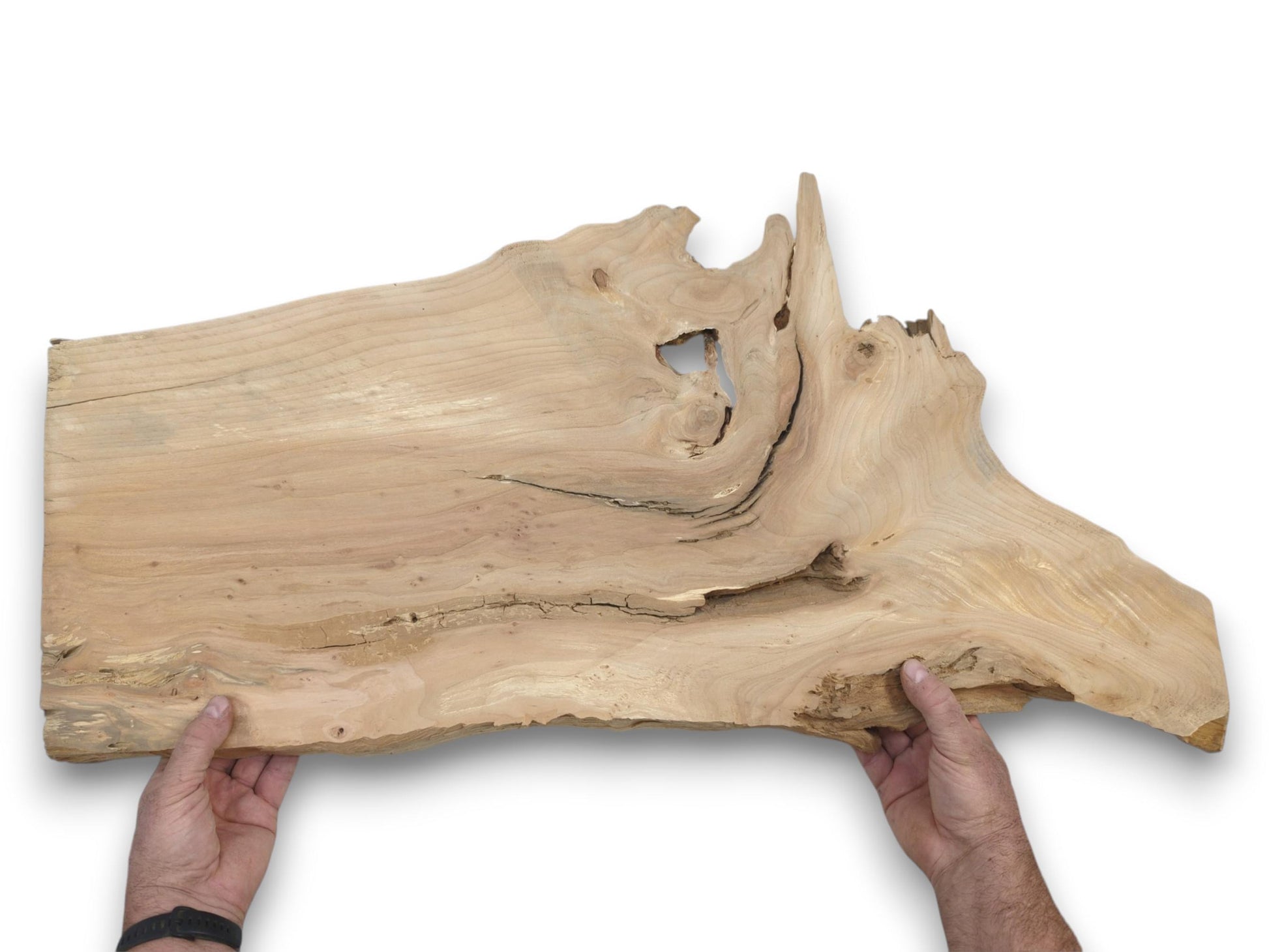 A long, planed wood piece held up, featuring a jagged, root-like end and dark fissures.