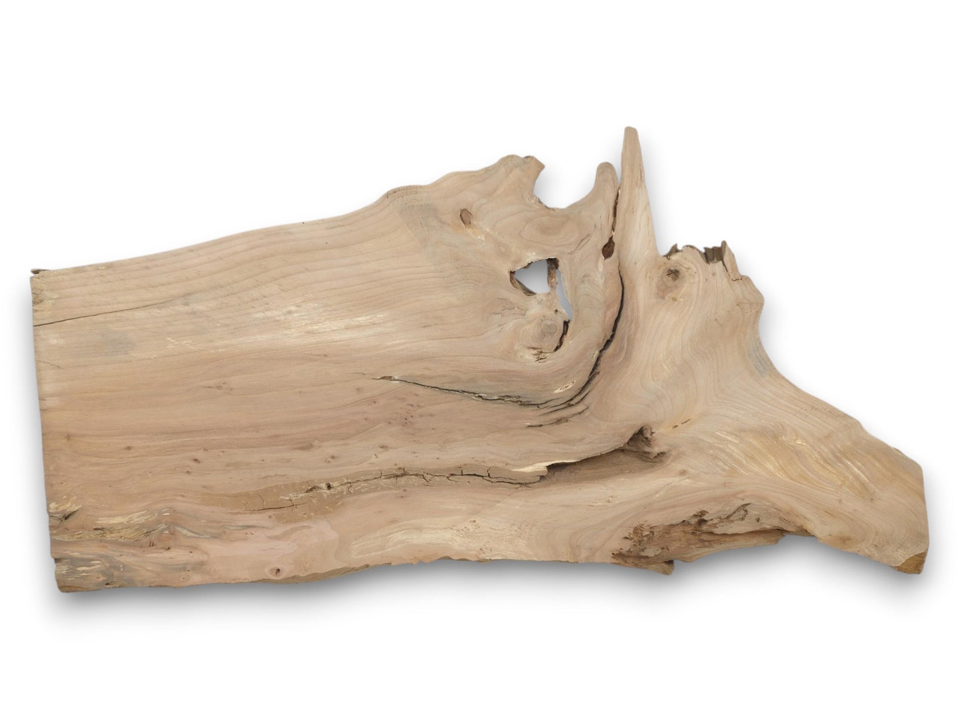 A light-toned wood cutting shows a pointed, gnarled edge and grain flowing around a hole.