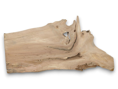 A light-toned wood cutting shows a pointed, gnarled edge and grain flowing around a hole.