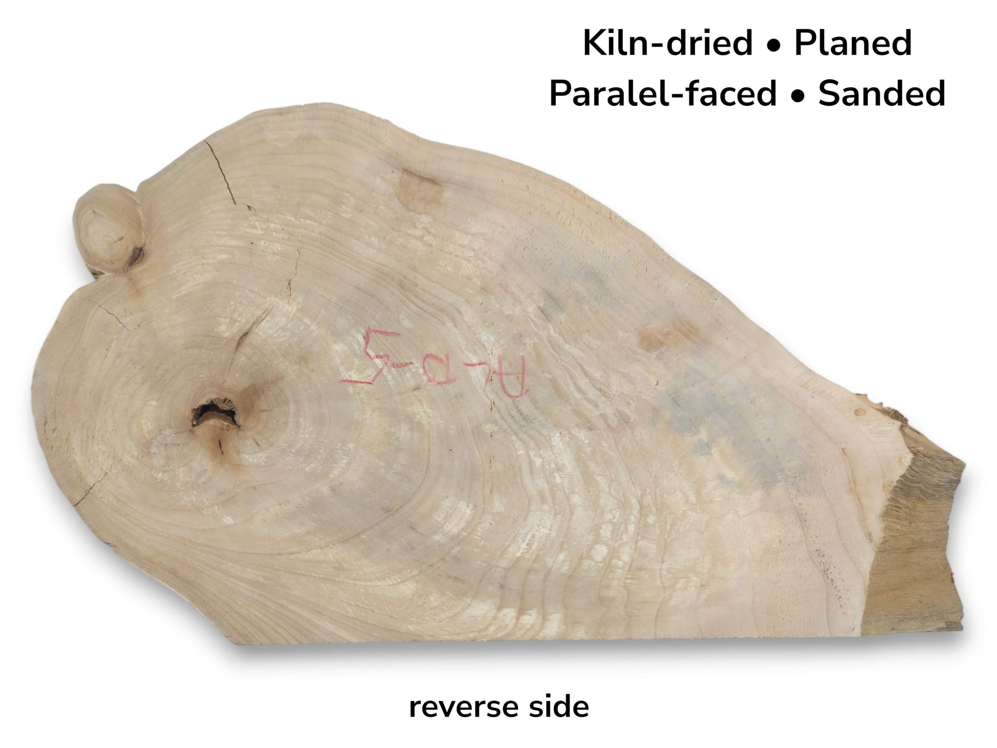 A pale timber cross-section shows faint growth rings, a small knot, and red crayon marks.