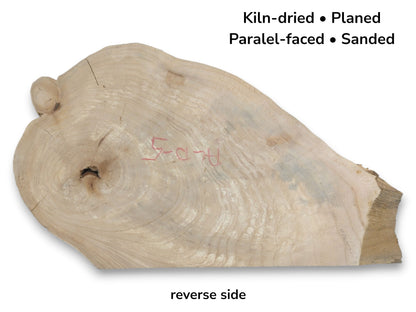 A pale timber cross-section shows faint growth rings, a small knot, and red crayon marks.