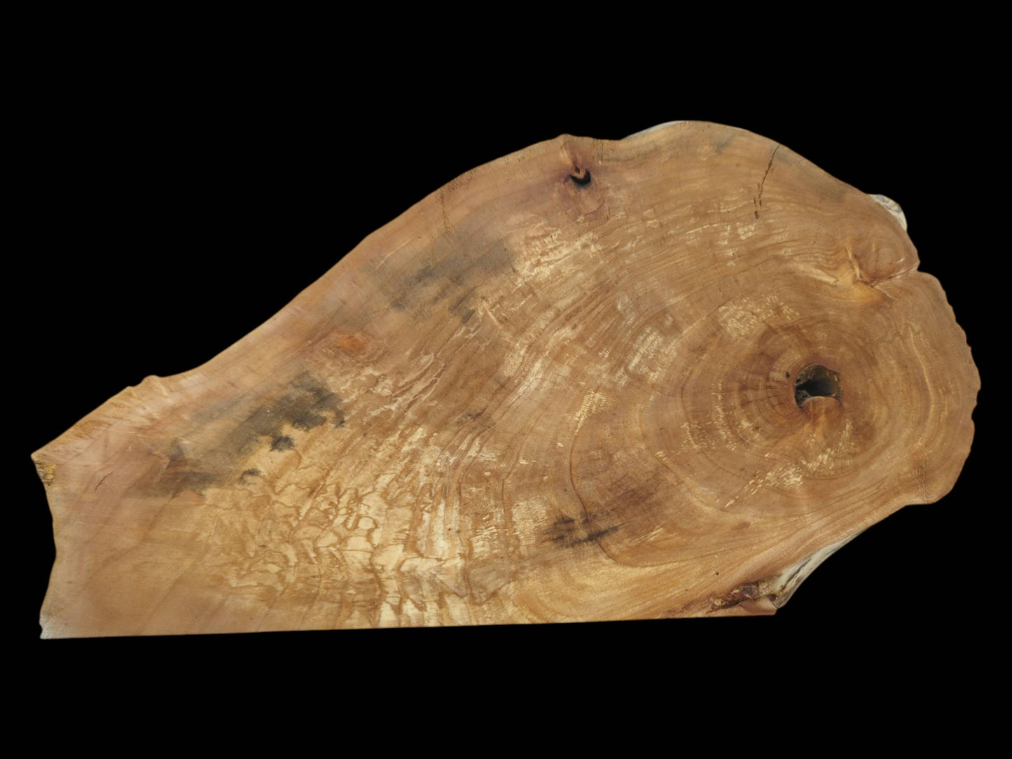 An irregular timber piece shows a central void, concentric rings, and pale web-like figuring.