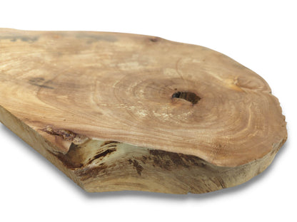 A thick timber cross-section shows a central aperture, faint growth rings, and a rugged edge.