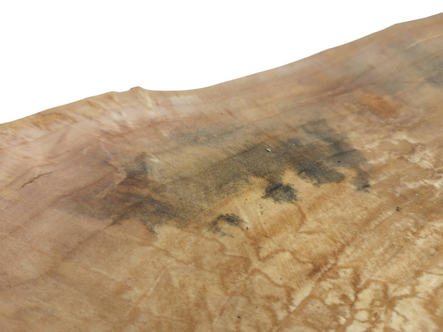 A dark, mottled stain spreads across the pale, web-like grain of a wood plank.