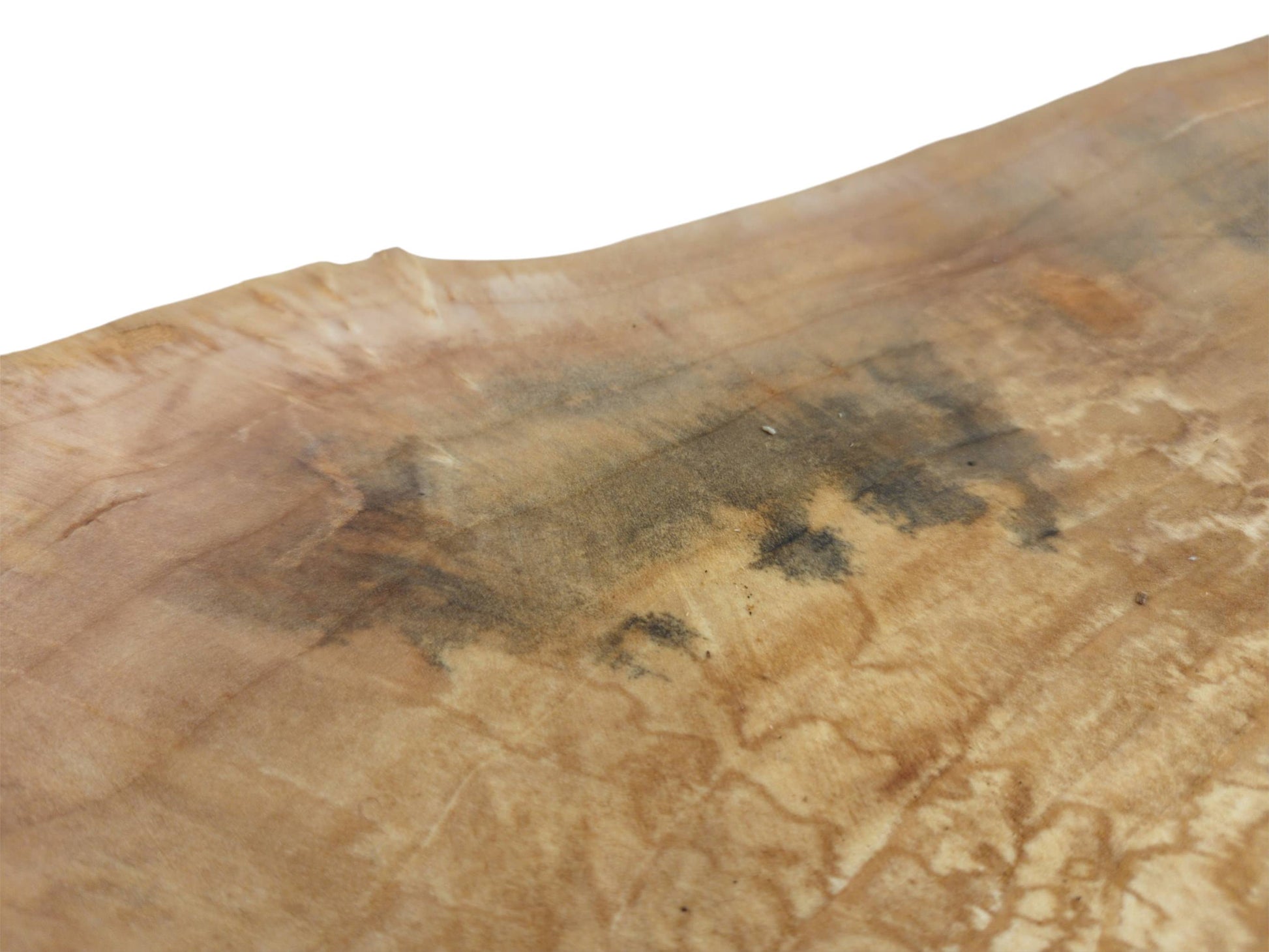 A dark, mottled stain spreads across the pale, web-like grain of a wood plank.