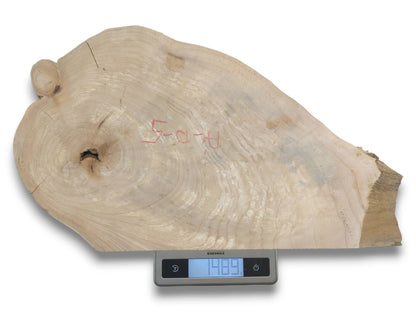 An irregular timber slab with pale grain and red writing rests on a digital scale.