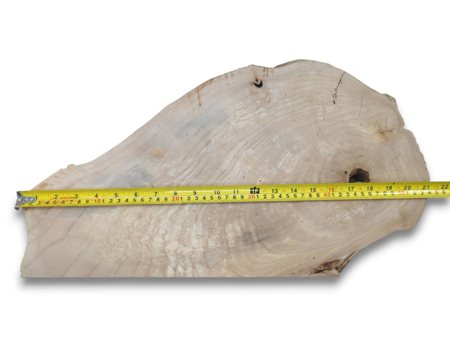 A measuring tape spans a pale wood cross-section with undulating grain and dark knots.