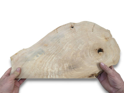 Hands hold a pale timber blank showing shimmering, wavy grain and two dark knot holes.