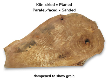 A planed alder root slab shows marbled grain, swirling rings, and a dark knot.