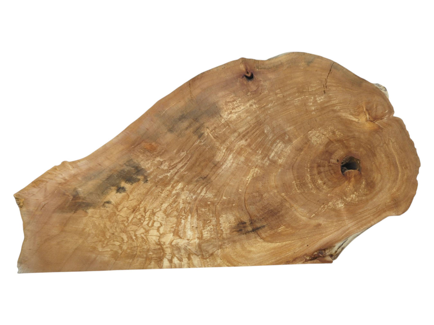 A warm-toned wood slab shows circular grain, a dark knot hole, and pale figuring.