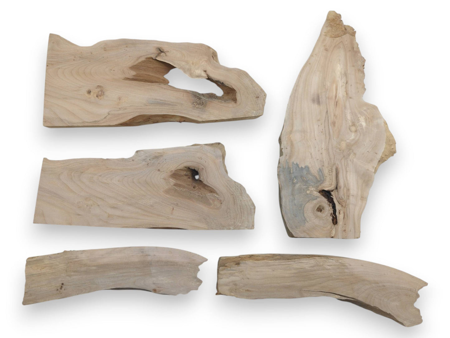 Five natural alder wood slabs with live edges, prominent knots, and varied wood grain.