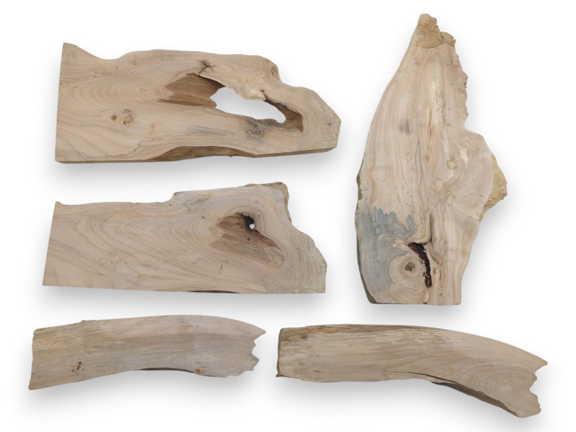 Five natural alder wood slabs with live edges, prominent knots, and varied wood grain.