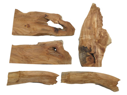 Five natural alder wood pieces with live edges, prominent knots, and varied wood grain.