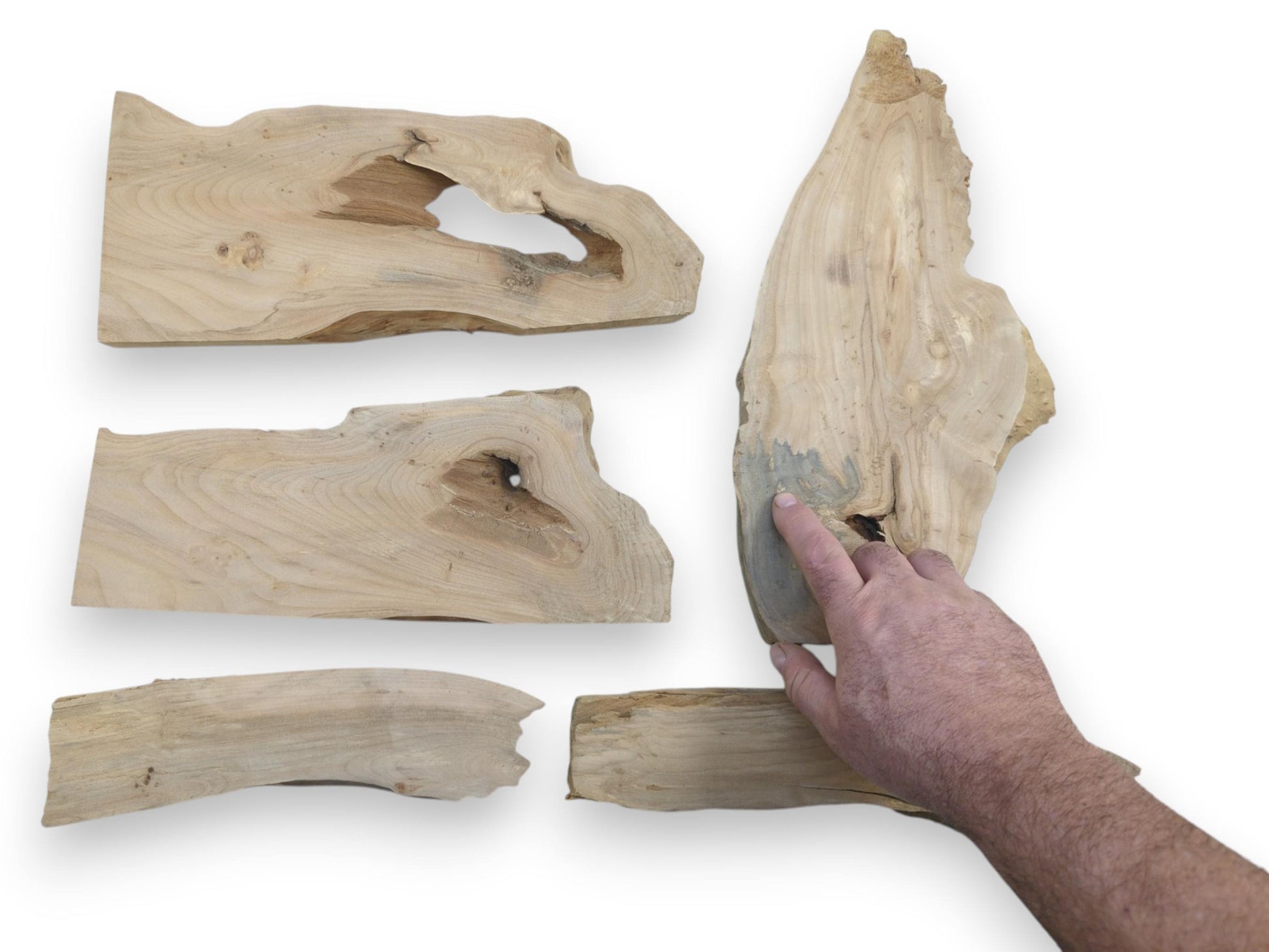 A hand points to a large, light-colored alder wood slab with natural edges and visible grain.