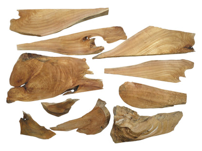 Various alder wood pieces with natural edges, showing different shapes, grains, and textures on white.