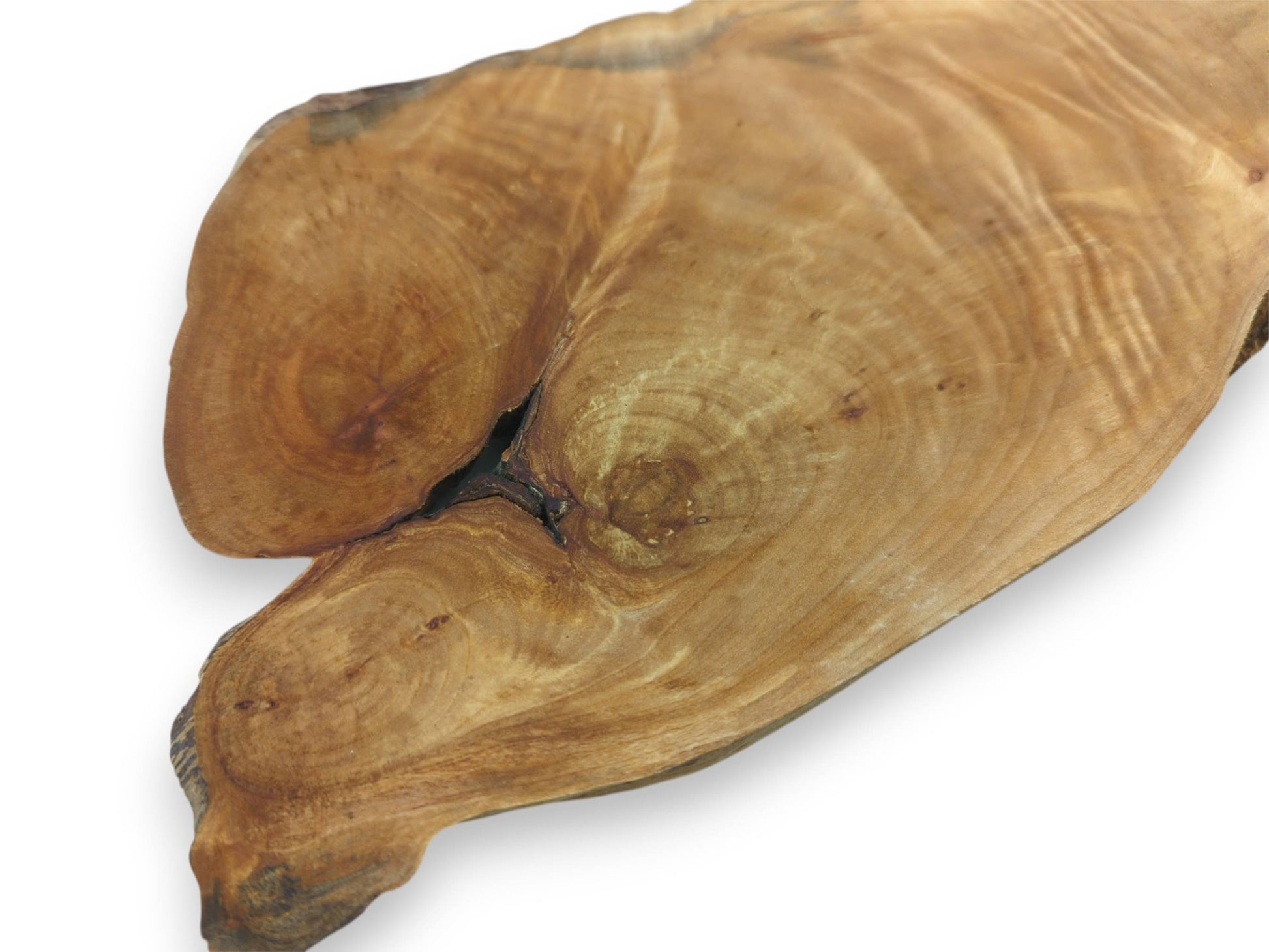 A close-up of a light brown alder wood slice with natural edges and visible grain.