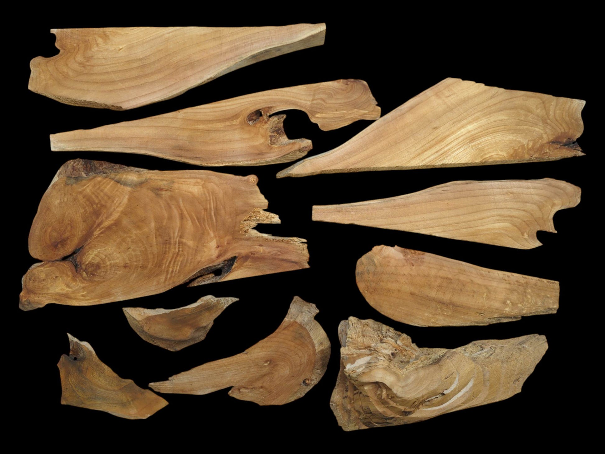Eleven light brown alder wood pieces with natural edges and visible grain on a black background.