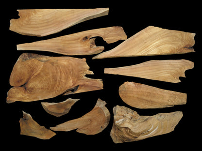 Eleven light brown alder wood pieces with natural edges and visible grain on a black background.