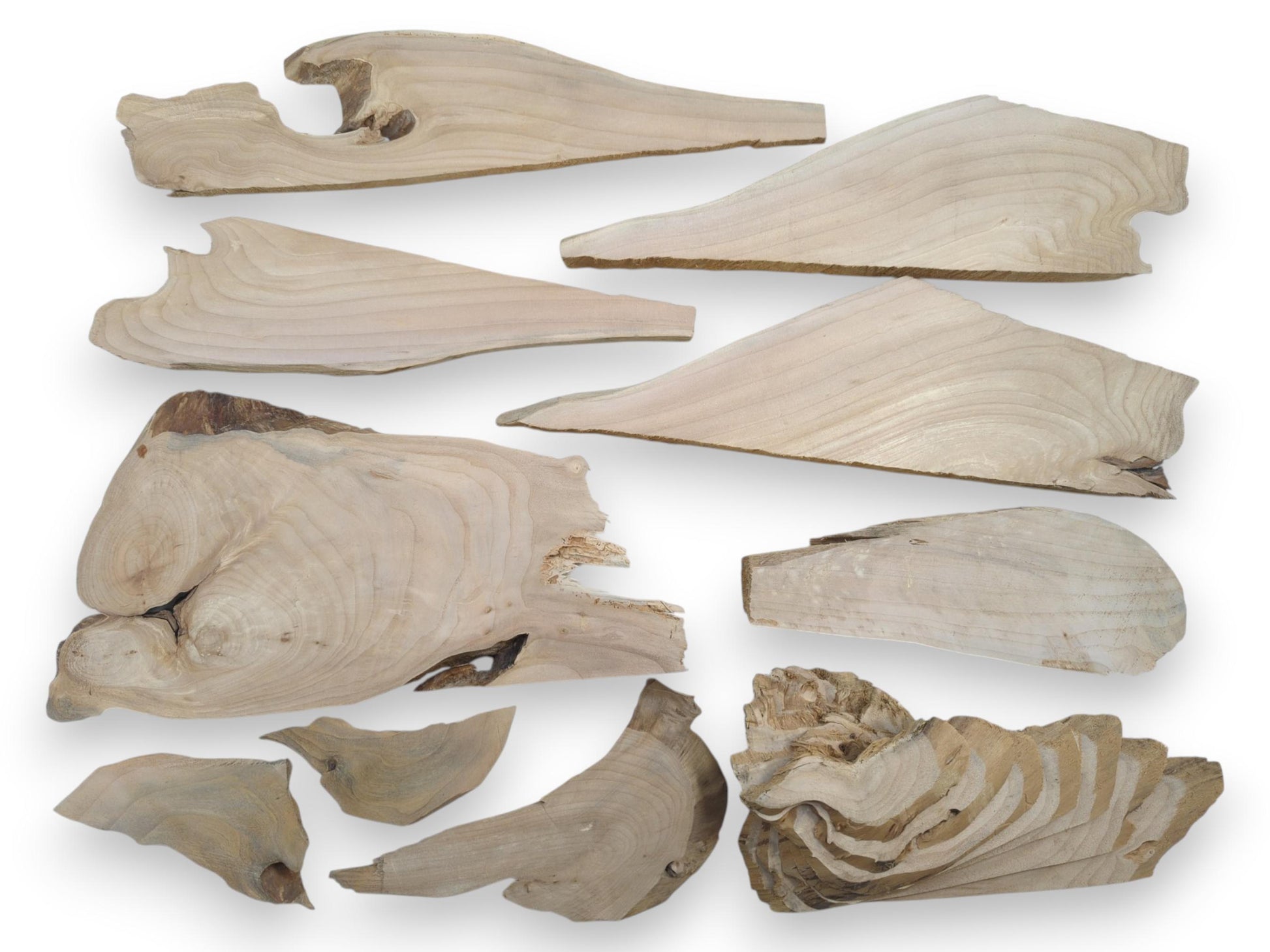 Various light-colored alder wood pieces with natural edges, unique shapes, and visible grain patterns.