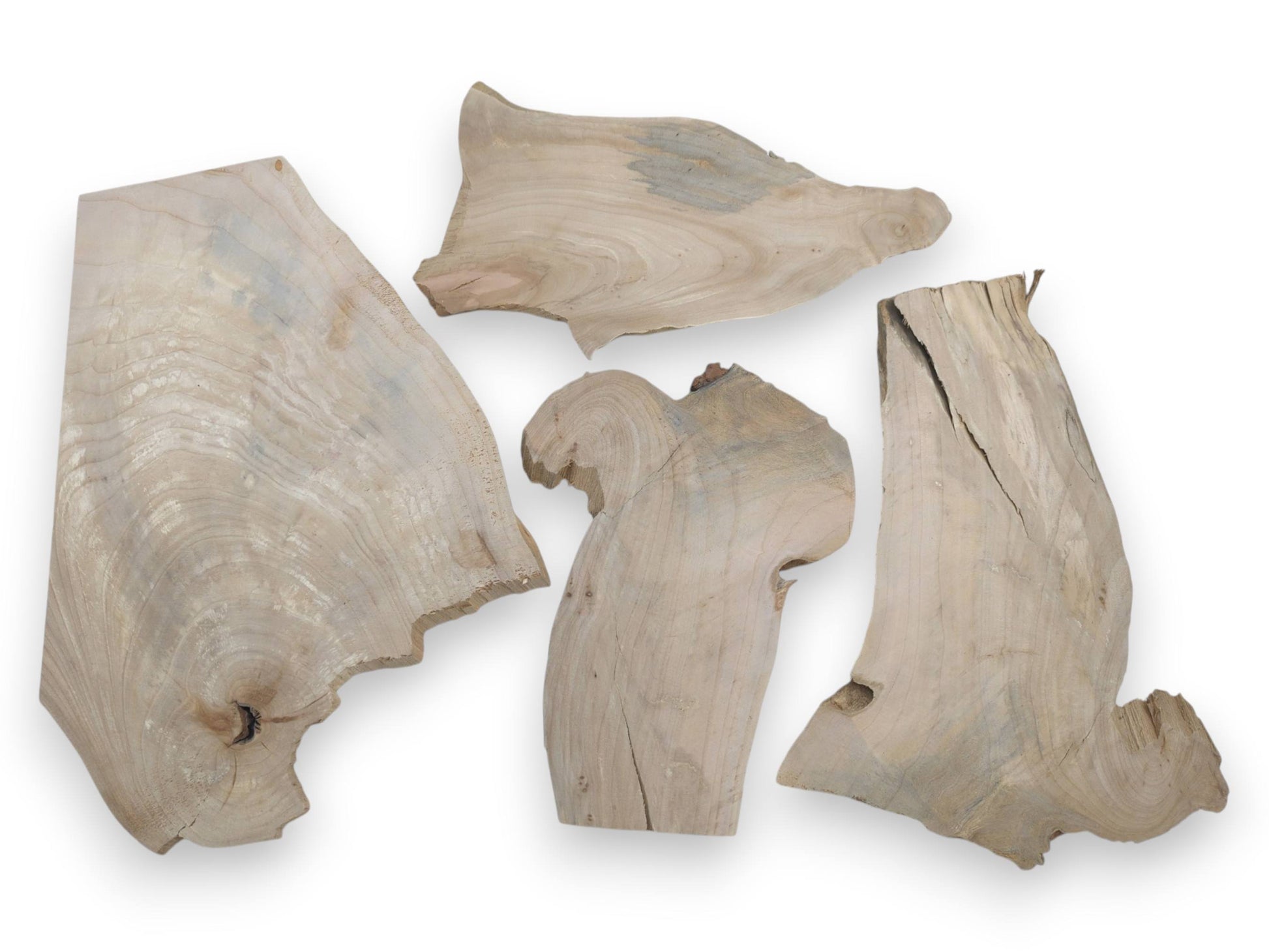 Four thin, light-colored alder wood slices with natural live edges and visible grain.