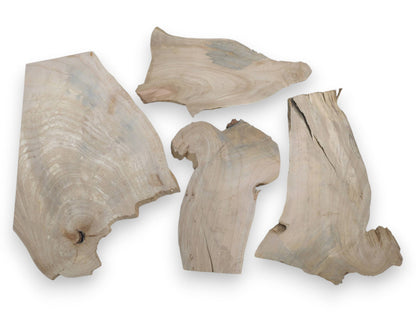 Four thin, light-colored alder wood slices with natural live edges and visible grain.