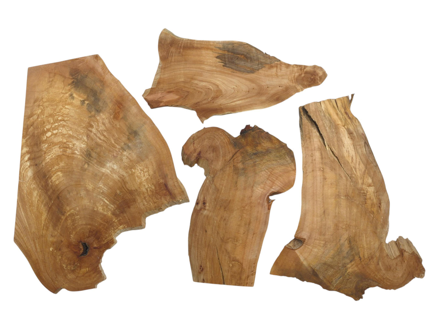 Four thin, light brown alder wood slices with natural live edges and visible grain.