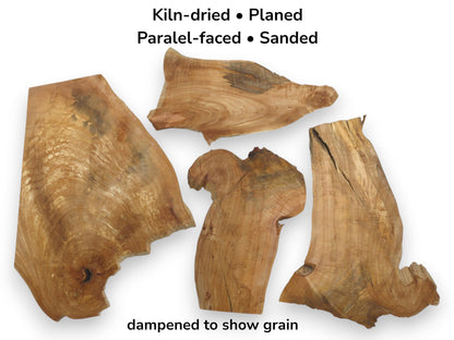 Four irregularly shaped, kiln-dried alder wood slices with visible grain and natural edges.