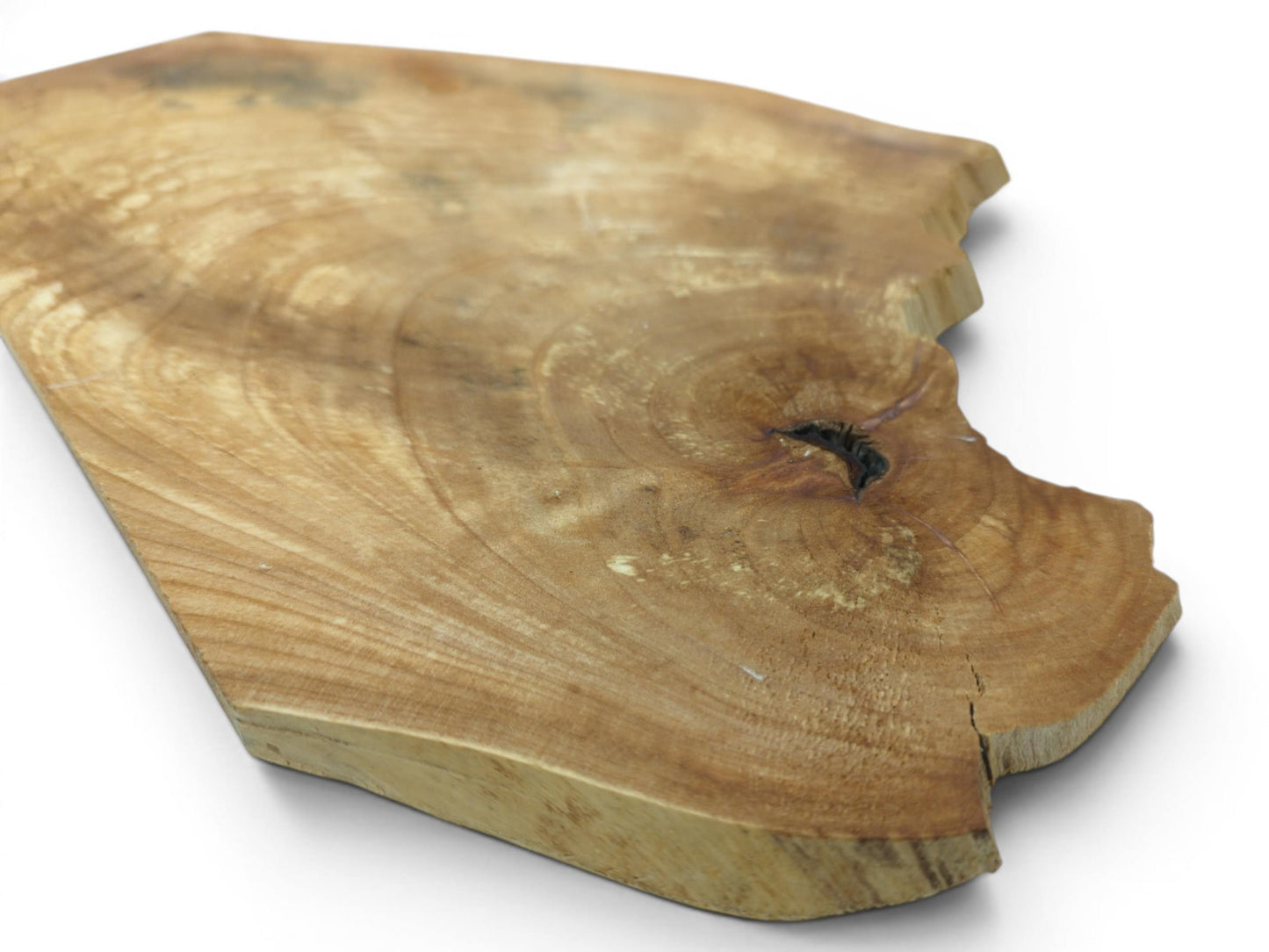 Close-up of a single, irregularly shaped alder wood slice with a knot and cracks.
