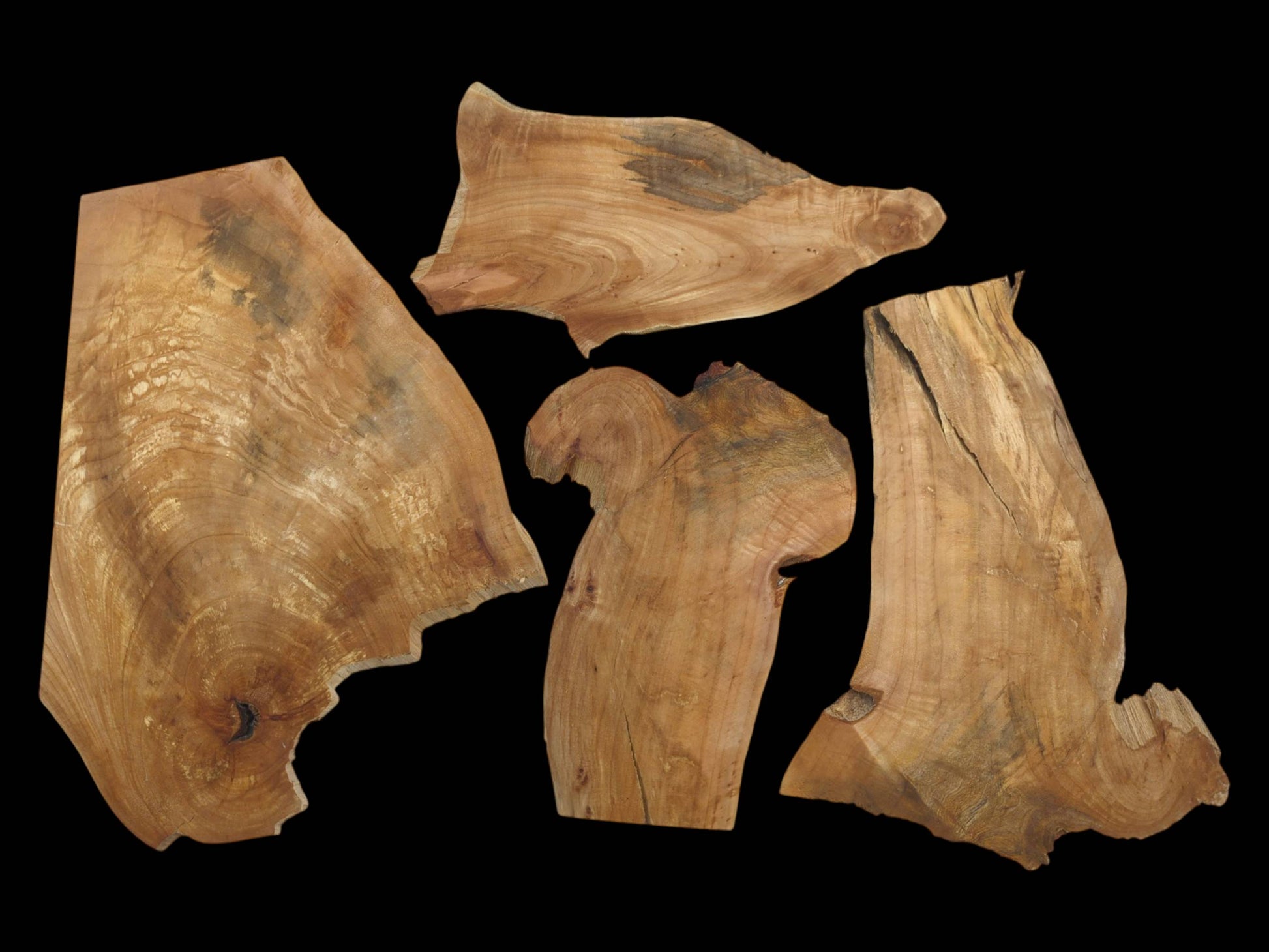 Four raw, irregularly shaped alder wood slices with natural edges and visible grain on black.