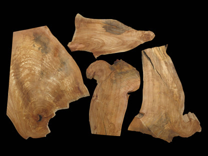 Four raw, irregularly shaped alder wood slices with natural edges and visible grain on black.