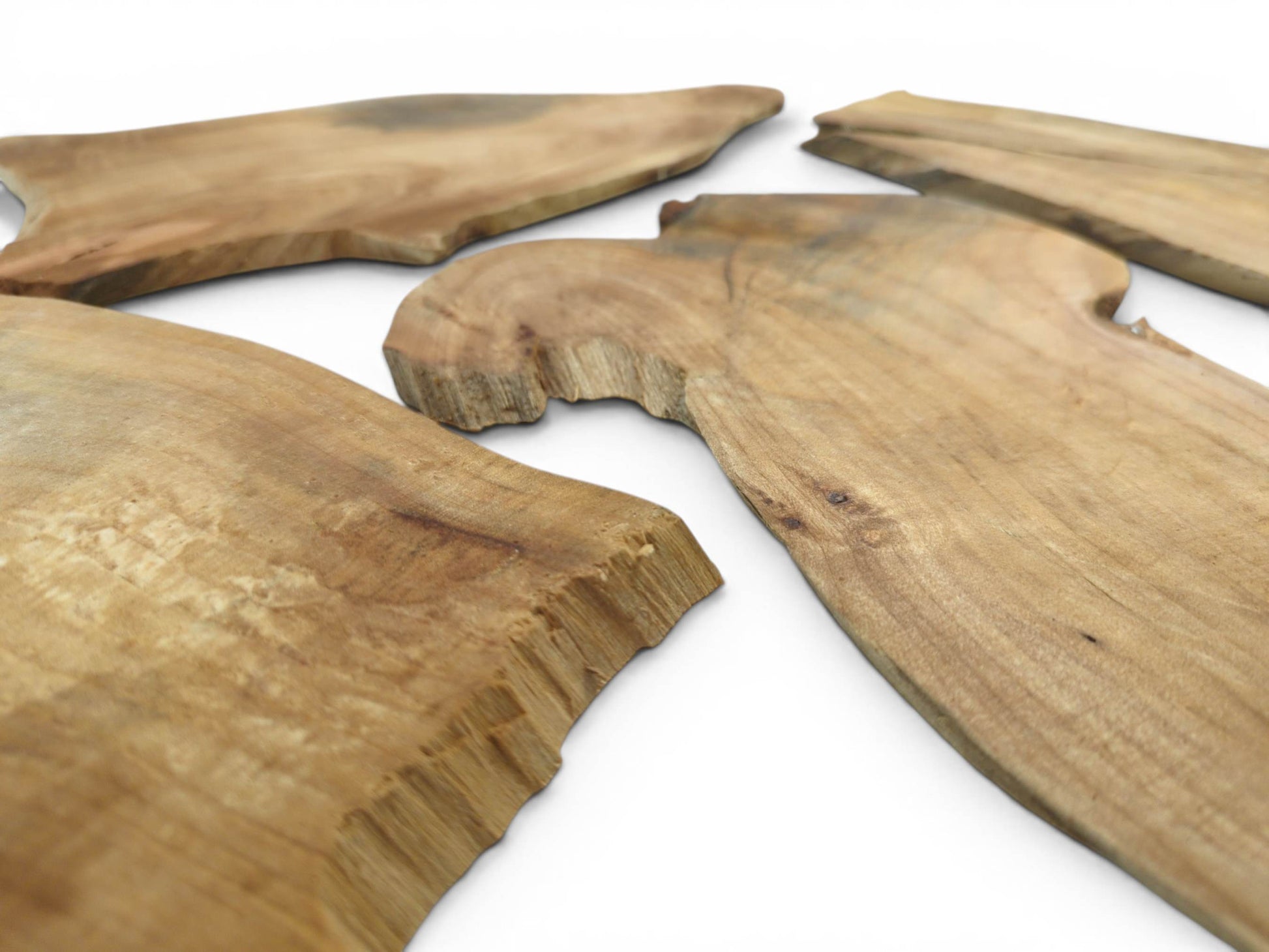 Four light brown alder wood slices with natural, irregular edges and visible wood grain.