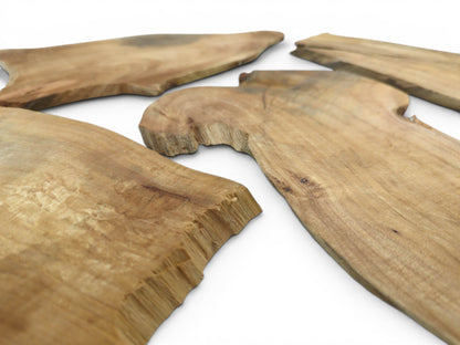 Four light brown alder wood slices with natural, irregular edges and visible wood grain.