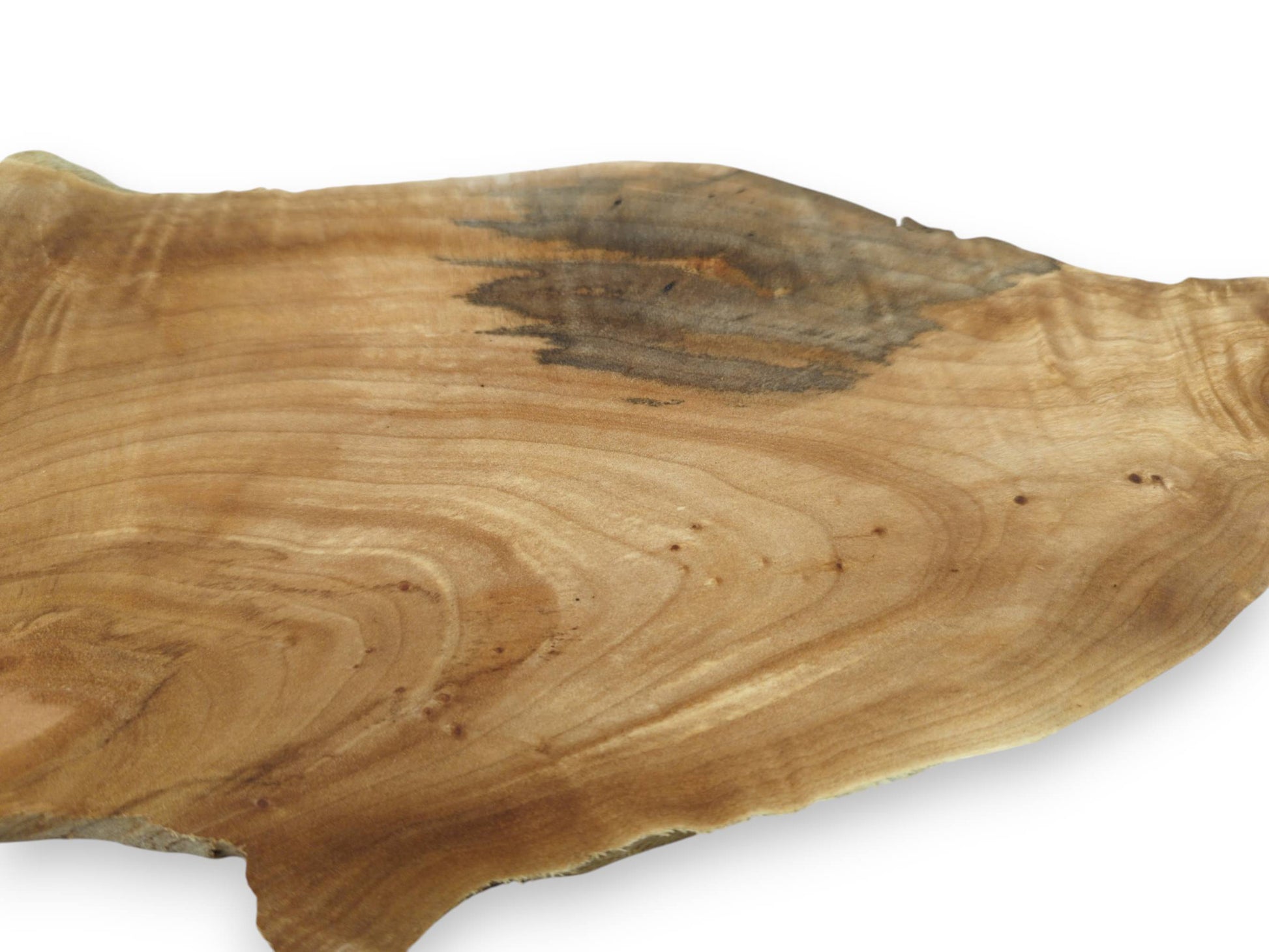 Close-up of a single, light brown alder wood slice with natural edges and visible grain.